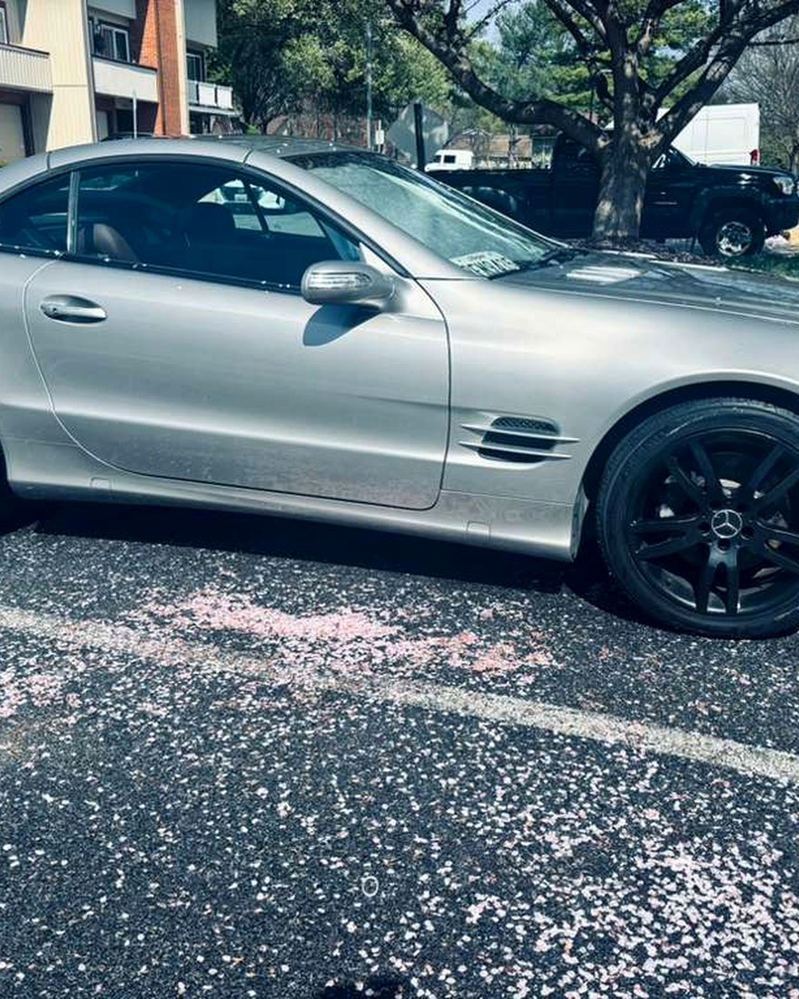 Glossy Mercedes paint after detailing